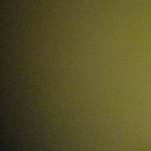 Meet your Posher, Patie2